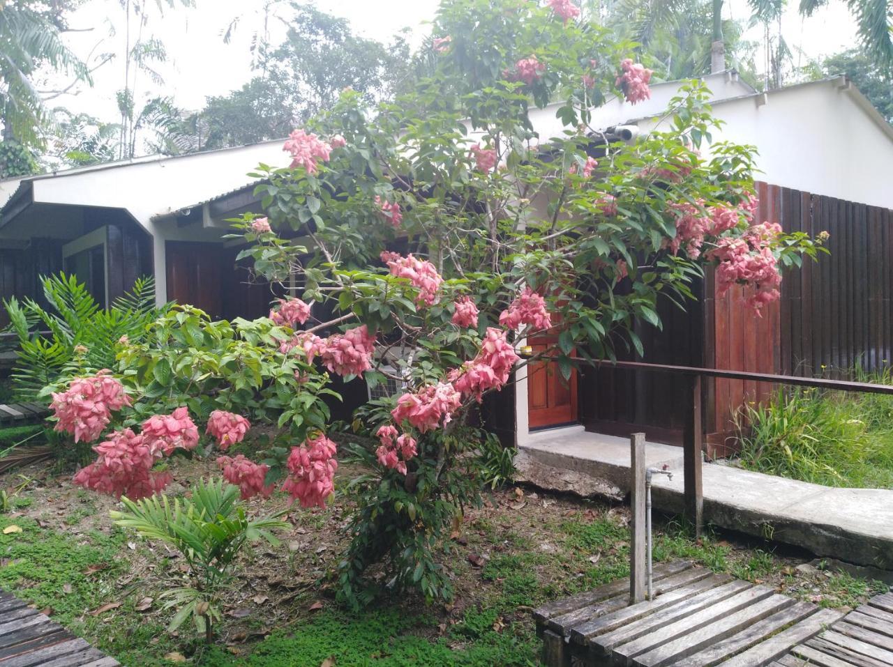 Ceiba Tops Santa Teresa  Екстериор снимка